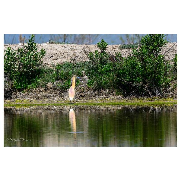 PHOTO84, CLUB, 84 , LUBERON